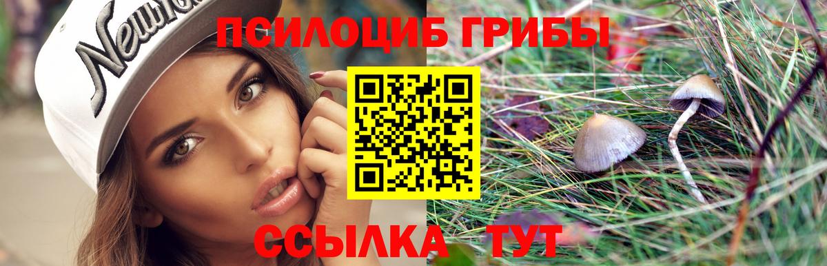 Зеленокумск  Псилоцибиновые грибы Magic Shrooms  Вход с VPN 